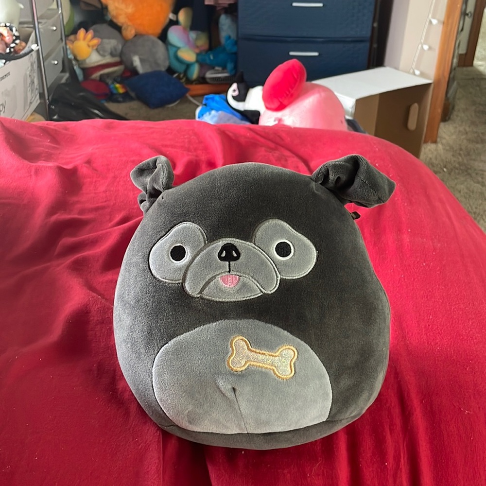 Squishmallow Bongo the Pug